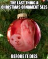 dead ornament 1.jpg